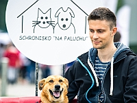 Warszawski Dzień Zwierząt 2019  Warszawa, 18 maja 2019 r. Multimedialny Park Fontann. Organizator - Schronisko dla Bezdomnych Zwierząt "Na Paluchu" : warszawski dzień zwierząt, park fontann, schronisko na paluchu