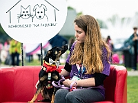 Warszawski Dzień Zwierząt 2019  Warszawa, 18 maja 2019 r. Multimedialny Park Fontann. Organizator - Schronisko dla Bezdomnych Zwierząt "Na Paluchu" : warszawski dzień zwierząt, park fontann, schronisko na paluchu