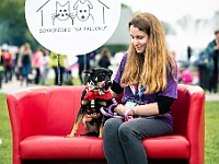 Warszawski Dzień Zwierząt 2019  Warszawa, 18 maja 2019 r. Multimedialny Park Fontann. Organizator - Schronisko dla Bezdomnych Zwierząt "Na Paluchu" : warszawski dzień zwierząt, park fontann, schronisko na paluchu