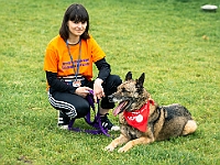 Warszawski Dzień Zwierząt 2019  Warszawa, 18 maja 2019 r. Multimedialny Park Fontann. Organizator - Schronisko dla Bezdomnych Zwierząt "Na Paluchu" : warszawski dzień zwierząt, park fontann, schronisko na paluchu