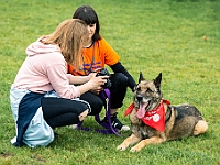 Warszawski Dzień Zwierząt 2019  Warszawa, 18 maja 2019 r. Multimedialny Park Fontann. Organizator - Schronisko dla Bezdomnych Zwierząt "Na Paluchu" : warszawski dzień zwierząt, park fontann, schronisko na paluchu
