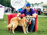 Warszawski Dzień Zwierząt 2019  Warszawa, 18 maja 2019 r. Multimedialny Park Fontann. Organizator - Schronisko dla Bezdomnych Zwierząt "Na Paluchu" : warszawski dzień zwierząt, park fontann, schronisko na paluchu