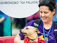 Warszawski Dzień Zwierząt 2019  Warszawa, 18 maja 2019 r. Multimedialny Park Fontann. Organizator - Schronisko dla Bezdomnych Zwierząt "Na Paluchu" : warszawski dzień zwierząt, park fontann, schronisko na paluchu