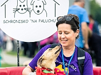 Warszawski Dzień Zwierząt 2019  Warszawa, 18 maja 2019 r. Multimedialny Park Fontann. Organizator - Schronisko dla Bezdomnych Zwierząt "Na Paluchu" : warszawski dzień zwierząt, park fontann, schronisko na paluchu
