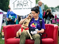 Warszawski Dzień Zwierząt 2019  Warszawa, 18 maja 2019 r. Multimedialny Park Fontann. Organizator - Schronisko dla Bezdomnych Zwierząt "Na Paluchu" : warszawski dzień zwierząt, park fontann, schronisko na paluchu