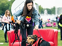 Warszawski Dzień Zwierząt 2019  Warszawa, 18 maja 2019 r. Multimedialny Park Fontann. Organizator - Schronisko dla Bezdomnych Zwierząt "Na Paluchu" : warszawski dzień zwierząt, park fontann, schronisko na paluchu