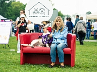 Warszawski Dzień Zwierząt 2019  Warszawa, 18 maja 2019 r. Multimedialny Park Fontann. Organizator - Schronisko dla Bezdomnych Zwierząt "Na Paluchu" : warszawski dzień zwierząt, park fontann, schronisko na paluchu