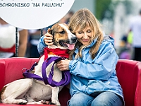 Warszawski Dzień Zwierząt 2019  Warszawa, 18 maja 2019 r. Multimedialny Park Fontann. Organizator - Schronisko dla Bezdomnych Zwierząt "Na Paluchu" : warszawski dzień zwierząt, park fontann, schronisko na paluchu