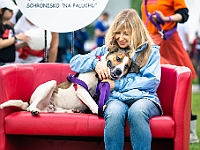 Warszawski Dzień Zwierząt 2019  Warszawa, 18 maja 2019 r. Multimedialny Park Fontann. Organizator - Schronisko dla Bezdomnych Zwierząt "Na Paluchu" : warszawski dzień zwierząt, park fontann, schronisko na paluchu