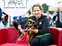 Warszawski Dzień Zwierząt 2019  Warszawa, 18 maja 2019 r. Multimedialny Park Fontann. Organizator - Schronisko dla Bezdomnych Zwierząt "Na Paluchu" : warszawski dzień zwierząt, park fontann, schronisko na paluchu