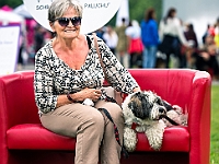 Warszawski Dzień Zwierząt 2019  Warszawa, 18 maja 2019 r. Multimedialny Park Fontann. Organizator - Schronisko dla Bezdomnych Zwierząt "Na Paluchu" : warszawski dzień zwierząt, park fontann, schronisko na paluchu