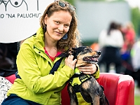Warszawski Dzień Zwierząt 2019  Warszawa, 18 maja 2019 r. Multimedialny Park Fontann. Organizator - Schronisko dla Bezdomnych Zwierząt "Na Paluchu" : warszawski dzień zwierząt, park fontann, schronisko na paluchu