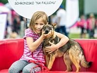 Warszawski Dzień Zwierząt 2019  Warszawa, 18 maja 2019 r. Multimedialny Park Fontann. Organizator - Schronisko dla Bezdomnych Zwierząt "Na Paluchu" : warszawski dzień zwierząt, park fontann, schronisko na paluchu