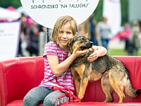 Warszawski Dzień Zwierząt 2019  Warszawa, 18 maja 2019 r. Multimedialny Park Fontann. Organizator - Schronisko dla Bezdomnych Zwierząt "Na Paluchu" : warszawski dzień zwierząt, park fontann, schronisko na paluchu
