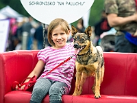 Warszawski Dzień Zwierząt 2019  Warszawa, 18 maja 2019 r. Multimedialny Park Fontann. Organizator - Schronisko dla Bezdomnych Zwierząt "Na Paluchu" : warszawski dzień zwierząt, park fontann, schronisko na paluchu