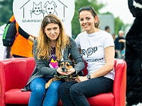 Warszawski Dzień Zwierząt 2019  Warszawa, 18 maja 2019 r. Multimedialny Park Fontann. Organizator - Schronisko dla Bezdomnych Zwierząt "Na Paluchu" : warszawski dzień zwierząt, park fontann, schronisko na paluchu