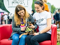 Warszawski Dzień Zwierząt 2019  Warszawa, 18 maja 2019 r. Multimedialny Park Fontann. Organizator - Schronisko dla Bezdomnych Zwierząt "Na Paluchu" : warszawski dzień zwierząt, park fontann, schronisko na paluchu