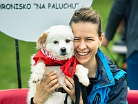 Warszawski Dzień Zwierząt 2019  Warszawa, 18 maja 2019 r. Multimedialny Park Fontann. Organizator - Schronisko dla Bezdomnych Zwierząt "Na Paluchu" : warszawski dzień zwierząt, park fontann, schronisko na paluchu
