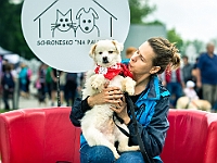 Warszawski Dzień Zwierząt 2019  Warszawa, 18 maja 2019 r. Multimedialny Park Fontann. Organizator - Schronisko dla Bezdomnych Zwierząt "Na Paluchu" : warszawski dzień zwierząt, park fontann, schronisko na paluchu