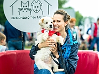 Warszawski Dzień Zwierząt 2019  Warszawa, 18 maja 2019 r. Multimedialny Park Fontann. Organizator - Schronisko dla Bezdomnych Zwierząt "Na Paluchu" : warszawski dzień zwierząt, park fontann, schronisko na paluchu
