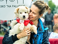Warszawski Dzień Zwierząt 2019  Warszawa, 18 maja 2019 r. Multimedialny Park Fontann. Organizator - Schronisko dla Bezdomnych Zwierząt "Na Paluchu" : warszawski dzień zwierząt, park fontann, schronisko na paluchu