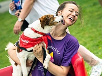 Warszawski Dzień Zwierząt 2019  Warszawa, 18 maja 2019 r. Multimedialny Park Fontann. Organizator - Schronisko dla Bezdomnych Zwierząt "Na Paluchu" : warszawski dzień zwierząt, park fontann, schronisko na paluchu