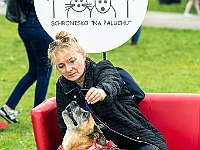 Warszawski Dzień Zwierząt 2019  Warszawa, 18 maja 2019 r. Multimedialny Park Fontann. Organizator - Schronisko dla Bezdomnych Zwierząt "Na Paluchu" : warszawski dzień zwierząt, park fontann, schronisko na paluchu