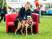 Warszawski Dzień Zwierząt 2019  Warszawa, 18 maja 2019 r. Multimedialny Park Fontann. Organizator - Schronisko dla Bezdomnych Zwierząt "Na Paluchu" : warszawski dzień zwierząt, park fontann, schronisko na paluchu