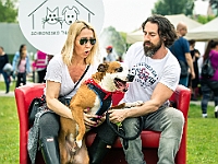 Warszawski Dzień Zwierząt 2019  Warszawa, 18 maja 2019 r. Multimedialny Park Fontann. Organizator - Schronisko dla Bezdomnych Zwierząt "Na Paluchu" : warszawski dzień zwierząt, park fontann, schronisko na paluchu
