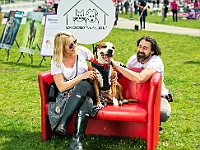 Warszawski Dzień Zwierząt 2019  Warszawa, 18 maja 2019 r. Multimedialny Park Fontann. Organizator - Schronisko dla Bezdomnych Zwierząt "Na Paluchu" : warszawski dzień zwierząt, park fontann, schronisko na paluchu