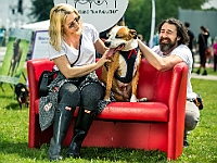 Warszawski Dzień Zwierząt 2019  Warszawa, 18 maja 2019 r. Multimedialny Park Fontann. Organizator - Schronisko dla Bezdomnych Zwierząt "Na Paluchu" : warszawski dzień zwierząt, park fontann, schronisko na paluchu