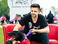 Warszawski Dzień Zwierząt 2019  Warszawa, 18 maja 2019 r. Multimedialny Park Fontann. Organizator - Schronisko dla Bezdomnych Zwierząt "Na Paluchu" : warszawski dzień zwierząt, park fontann, schronisko na paluchu
