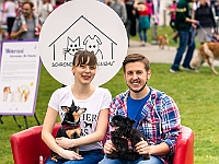 Warszawski Dzień Zwierząt 2019  Warszawa, 18 maja 2019 r. Multimedialny Park Fontann. Organizator - Schronisko dla Bezdomnych Zwierząt "Na Paluchu" : warszawski dzień zwierząt, park fontann, schronisko na paluchu