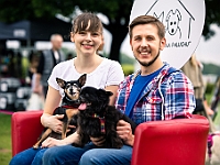 Warszawski Dzień Zwierząt 2019  Warszawa, 18 maja 2019 r. Multimedialny Park Fontann. Organizator - Schronisko dla Bezdomnych Zwierząt "Na Paluchu" : warszawski dzień zwierząt, park fontann, schronisko na paluchu
