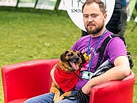 Warszawski Dzień Zwierząt 2019  Warszawa, 18 maja 2019 r. Multimedialny Park Fontann. Organizator - Schronisko dla Bezdomnych Zwierząt "Na Paluchu" : warszawski dzień zwierząt, park fontann, schronisko na paluchu