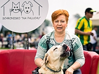 Warszawski Dzień Zwierząt 2019  Warszawa, 18 maja 2019 r. Multimedialny Park Fontann. Organizator - Schronisko dla Bezdomnych Zwierząt "Na Paluchu" : warszawski dzień zwierząt, park fontann, schronisko na paluchu