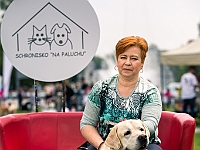 Warszawski Dzień Zwierząt 2019  Warszawa, 18 maja 2019 r. Multimedialny Park Fontann. Organizator - Schronisko dla Bezdomnych Zwierząt "Na Paluchu" : warszawski dzień zwierząt, park fontann, schronisko na paluchu