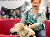 Warszawski Dzień Zwierząt 2019  Warszawa, 18 maja 2019 r. Multimedialny Park Fontann. Organizator - Schronisko dla Bezdomnych Zwierząt "Na Paluchu" : warszawski dzień zwierząt, park fontann, schronisko na paluchu