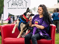 Warszawski Dzień Zwierząt 2019  Warszawa, 18 maja 2019 r. Multimedialny Park Fontann. Organizator - Schronisko dla Bezdomnych Zwierząt "Na Paluchu" : warszawski dzień zwierząt, park fontann, schronisko na paluchu