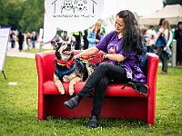 Warszawski Dzień Zwierząt 2019  Warszawa, 18 maja 2019 r. Multimedialny Park Fontann. Organizator - Schronisko dla Bezdomnych Zwierząt "Na Paluchu" : warszawski dzień zwierząt, park fontann, schronisko na paluchu