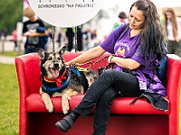 Warszawski Dzień Zwierząt 2019  Warszawa, 18 maja 2019 r. Multimedialny Park Fontann. Organizator - Schronisko dla Bezdomnych Zwierząt "Na Paluchu" : warszawski dzień zwierząt, park fontann, schronisko na paluchu
