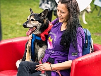 Warszawski Dzień Zwierząt 2019  Warszawa, 18 maja 2019 r. Multimedialny Park Fontann. Organizator - Schronisko dla Bezdomnych Zwierząt "Na Paluchu" : warszawski dzień zwierząt, park fontann, schronisko na paluchu