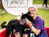 Warszawski Dzień Zwierząt 2019  Warszawa, 18 maja 2019 r. Multimedialny Park Fontann. Organizator - Schronisko dla Bezdomnych Zwierząt "Na Paluchu" : warszawski dzień zwierząt, park fontann, schronisko na paluchu