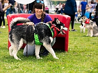 Warszawski Dzień Zwierząt 2019  Warszawa, 18 maja 2019 r. Multimedialny Park Fontann. Organizator - Schronisko dla Bezdomnych Zwierząt "Na Paluchu" : warszawski dzień zwierząt, park fontann, schronisko na paluchu