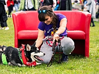 Warszawski Dzień Zwierząt 2019  Warszawa, 18 maja 2019 r. Multimedialny Park Fontann. Organizator - Schronisko dla Bezdomnych Zwierząt "Na Paluchu" : warszawski dzień zwierząt, park fontann, schronisko na paluchu