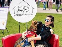 Warszawski Dzień Zwierząt 2019  Warszawa, 18 maja 2019 r. Multimedialny Park Fontann. Organizator - Schronisko dla Bezdomnych Zwierząt "Na Paluchu" : warszawski dzień zwierząt, park fontann, schronisko na paluchu