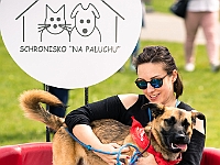 Warszawski Dzień Zwierząt 2019  Warszawa, 18 maja 2019 r. Multimedialny Park Fontann. Organizator - Schronisko dla Bezdomnych Zwierząt "Na Paluchu" : warszawski dzień zwierząt, park fontann, schronisko na paluchu