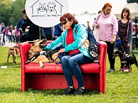 Warszawski Dzień Zwierząt 2019  Warszawa, 18 maja 2019 r. Multimedialny Park Fontann. Organizator - Schronisko dla Bezdomnych Zwierząt "Na Paluchu" : warszawski dzień zwierząt, park fontann, schronisko na paluchu
