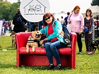 Warszawski Dzień Zwierząt 2019  Warszawa, 18 maja 2019 r. Multimedialny Park Fontann. Organizator - Schronisko dla Bezdomnych Zwierząt "Na Paluchu" : warszawski dzień zwierząt, park fontann, schronisko na paluchu