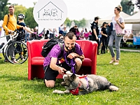 Warszawski Dzień Zwierząt 2019  Warszawa, 18 maja 2019 r. Multimedialny Park Fontann. Organizator - Schronisko dla Bezdomnych Zwierząt "Na Paluchu" : warszawski dzień zwierząt, park fontann, schronisko na paluchu